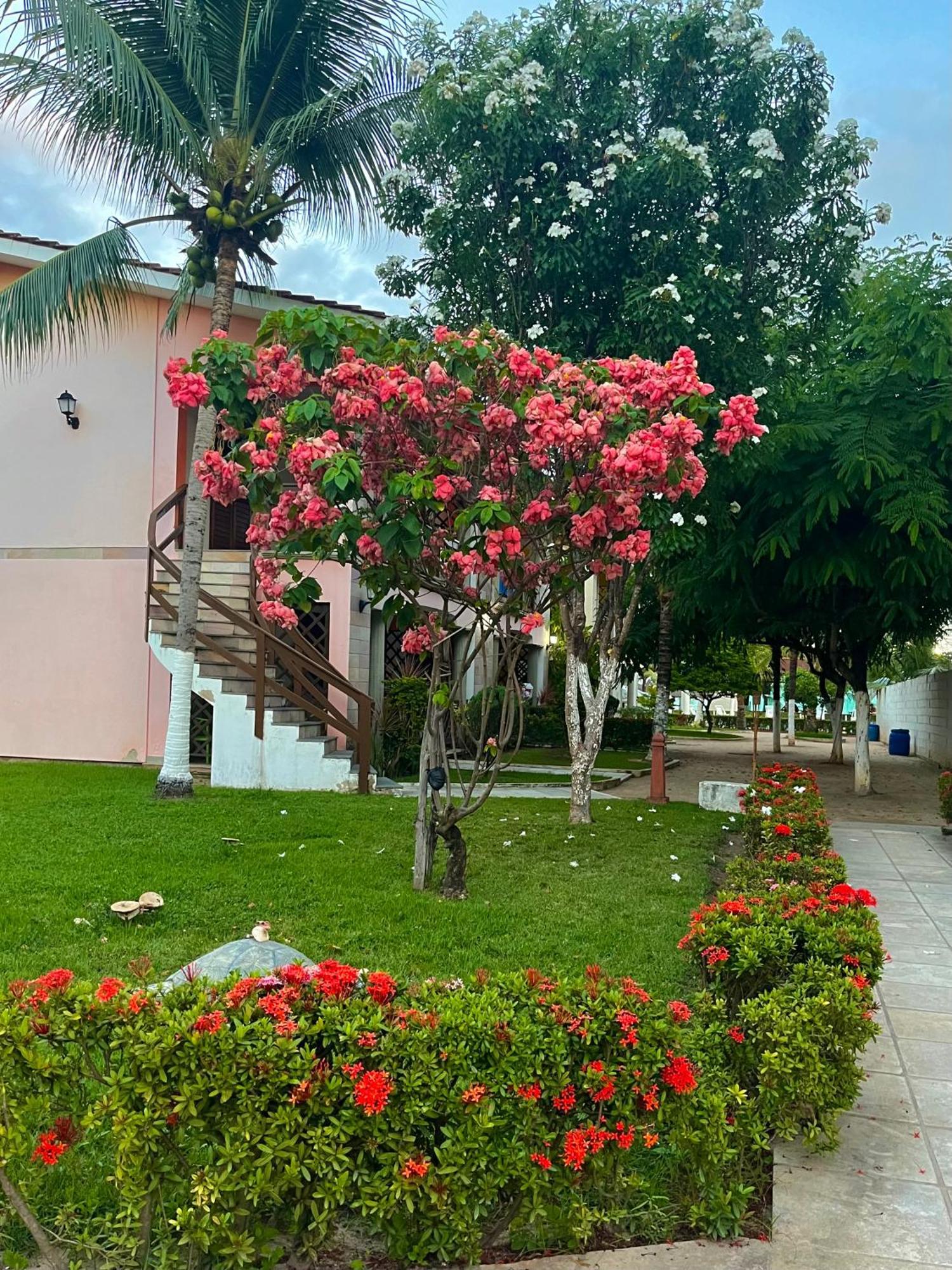 Starlounge Villa Maragogi Dış mekan fotoğraf